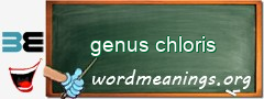 WordMeaning blackboard for genus chloris
